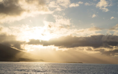 De onzichtbare strijd