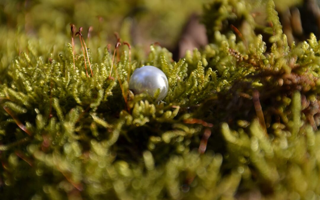 Je bent een parel in Gods hand